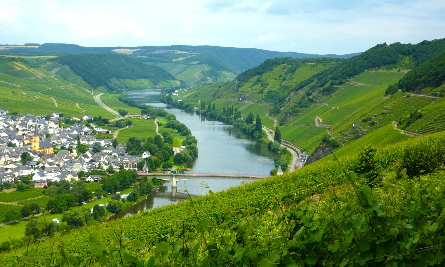 Trittenheim Mosel Nr. 25