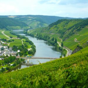 Trittenheim Mosel Nr. 25